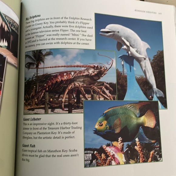 Weird Florida. Book by Charlie Carlson. - Picture 6 of 8